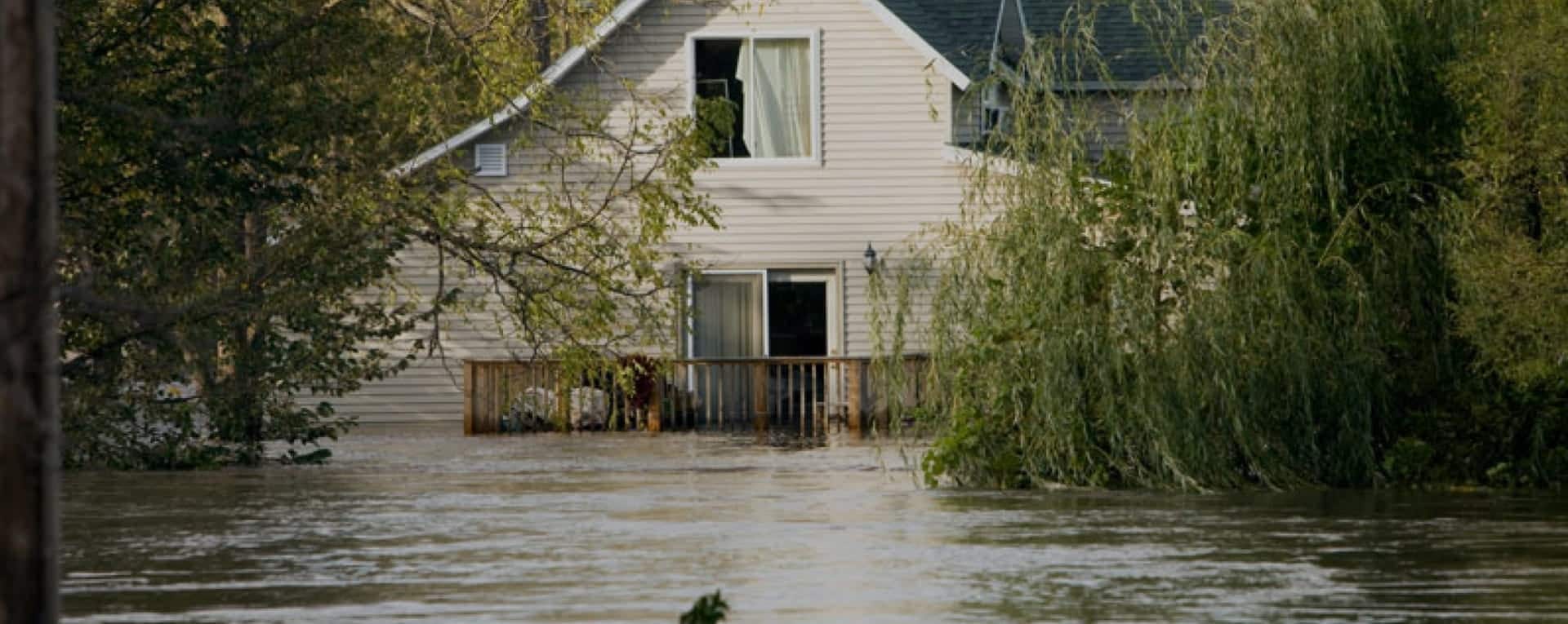 sewer mitigations, flood damage
